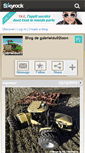 Mobile Screenshot of gabrieldu02laon.skyrock.com