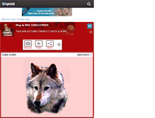 Tablet Screenshot of bea-tubes-chiens.skyrock.com