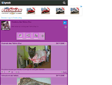 Tablet Screenshot of felins-isa.skyrock.com