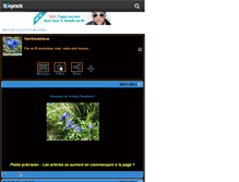 Tablet Screenshot of gentianebleue.skyrock.com