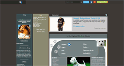 Desktop Screenshot of fantasticdogs.skyrock.com