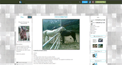 Desktop Screenshot of chevaux-de-warmeriville.skyrock.com