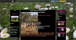 Desktop Screenshot of cherche-cheval-parfait.skyrock.com