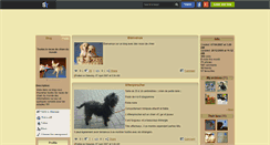 Desktop Screenshot of chienraces.skyrock.com