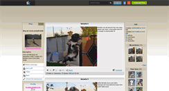 Desktop Screenshot of chiots-amstaff-du68.skyrock.com