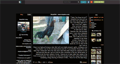 Desktop Screenshot of ninjadna.skyrock.com
