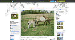 Desktop Screenshot of cheval-miniature.skyrock.com