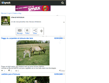 Tablet Screenshot of cheval-miniature.skyrock.com