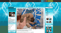 Desktop Screenshot of elevage-miss-daisy.skyrock.com