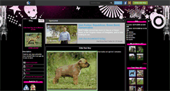 Desktop Screenshot of elite-amstaff.skyrock.com