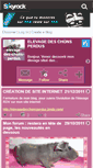 Mobile Screenshot of elevage-des-chons-perdus.skyrock.com