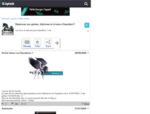 Tablet Screenshot of equideo-reponses.skyrock.com