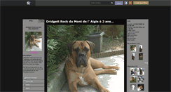 Desktop Screenshot of dridgett.skyrock.com