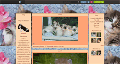 Desktop Screenshot of catman14.skyrock.com