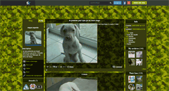 Desktop Screenshot of dogue-argentin-68130.skyrock.com