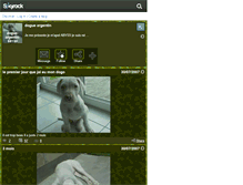 Tablet Screenshot of dogue-argentin-68130.skyrock.com