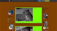 Desktop Screenshot of chinchilla-passion.skyrock.com
