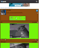 Tablet Screenshot of chinchilla-passion.skyrock.com