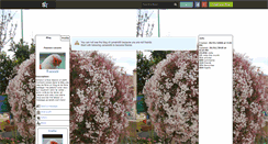 Desktop Screenshot of canaris66.skyrock.com