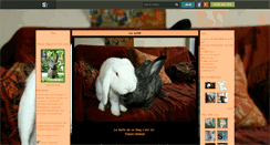 Desktop Screenshot of lapin-attitude.skyrock.com