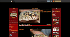 Desktop Screenshot of lovegeckos.skyrock.com