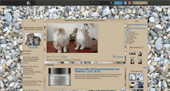 Desktop Screenshot of persangolden.skyrock.com