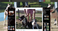 Desktop Screenshot of amstaff31.skyrock.com