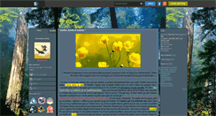 Desktop Screenshot of anonimax.skyrock.com