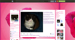 Desktop Screenshot of chatons-persans.skyrock.com