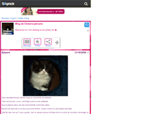 Tablet Screenshot of chatons-persans.skyrock.com