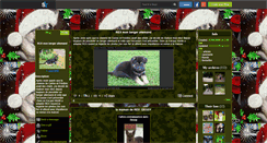 Desktop Screenshot of coco1946.skyrock.com