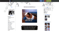 Desktop Screenshot of monfripouille.skyrock.com