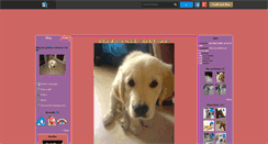 Desktop Screenshot of golden-retriever-du-80.skyrock.com