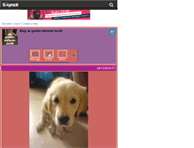 Tablet Screenshot of golden-retriever-du-80.skyrock.com