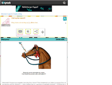 Tablet Screenshot of ooroxyhorsesoo.skyrock.com