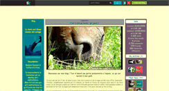 Desktop Screenshot of contre-la-torture.skyrock.com