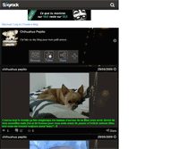 Tablet Screenshot of chihuahua-pepito.skyrock.com