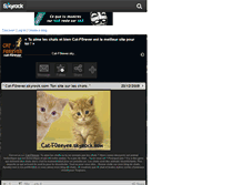 Tablet Screenshot of cat-f0rever.skyrock.com