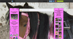 Desktop Screenshot of echanges-equestre.skyrock.com