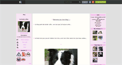 Desktop Screenshot of my-border-collie.skyrock.com