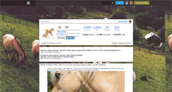 Desktop Screenshot of fjord-horse.skyrock.com