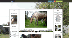 Desktop Screenshot of etoilemajumant.skyrock.com