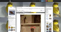 Desktop Screenshot of lecanarisdu62.skyrock.com