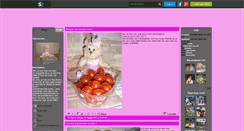 Desktop Screenshot of gina-la-star.skyrock.com