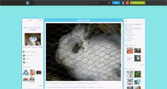 Desktop Screenshot of mon-lapin-boule-de-neige.skyrock.com