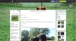 Desktop Screenshot of icelandic-horse.skyrock.com