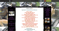 Desktop Screenshot of engins-64.skyrock.com