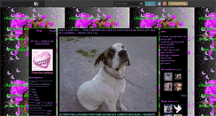 Desktop Screenshot of chouchou-orphee30.skyrock.com
