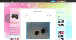 Desktop Screenshot of maviedeuxtortues.skyrock.com