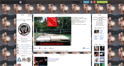 Desktop Screenshot of catch---attack-wwe.skyrock.com
